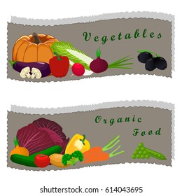 Illustration on theme big set different types vegetables, eggplant and other isolated on white background. Vegetable pattern consisting of raw long eggplant. Eat fresh vegetable eggplant to health.