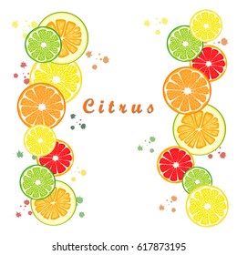 Illustration on theme big set different types citrus, grapefruit and other isolated on white background. Citrus pattern consisting of menu raw tasty product grapefruit. Eat citrus grapefruit to health