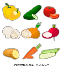 Illustration on theme big set different types vegetables, cucumber and other isolated on white background. Vegetable pattern consisting of raw green cucumber. Eat fresh vegetable cucumber to health.