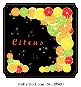 Illustration on theme big set different types citrus, grapefruit and other isolated on white background. Citrus pattern consisting of menu raw tasty product grapefruit. Eat citrus grapefruit to health