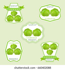 Illustration on theme big set vegetable brussels cabbage from leaf. Cabbage consisting of collectible natural food brussels leaf, tasty roll accessory. Eat fresh brussels cabbage in leaf on health.