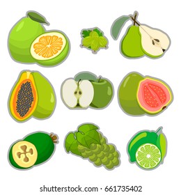 Illustration on theme big set different types fruits, guava and other isolated on white background. Fruit pattern consisting of menu raw tasty product guava. Eat fresh colorful fruit guava to health.