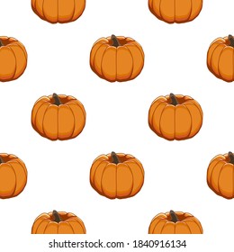 Illustration on theme of bright pattern yellow pumpkin, vegetable gourd for seal. Vegetable pattern consisting of beautiful pumpkin, many gourd. Simple colorful vegetable pattern from gourd pumpkin.