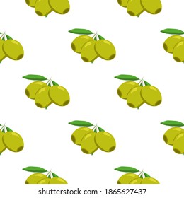 Illustration on theme of bright pattern italian olive, oil berry for seal. Berry pattern consisting of beautiful italian olive, many herb oil. Simple colorful berry pattern from italian oil olive.
