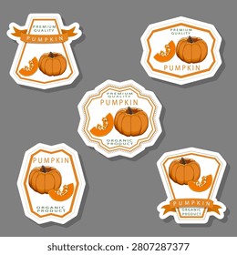 Illustration on theme of set tasty natural product vegetable pumpkin, pattern consisting of kit various options meal vegetable pumpkin, abstract composition of edible food vegetable pumpkin for eating