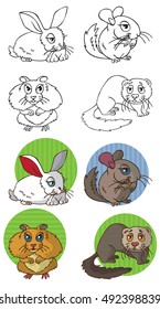 illustration on white background in circle Pets rodents: ferret, hamster, rabbit and chinchilla