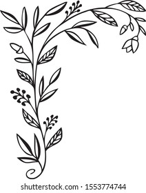 illustration on a white background. Climbing plant in the left corner with flowers and berries