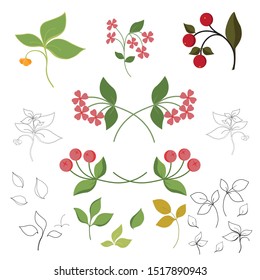 Illustration on white background, elements from branches, berries, flowers and leaves, for cover, paper or invitation decor