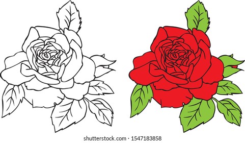 illustration on a white background. Red Rose