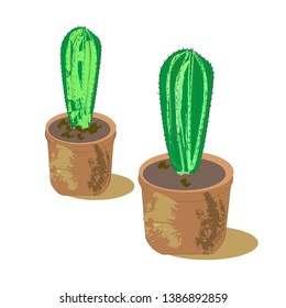  illustration on white background two green cacti in brown pots vector graphics