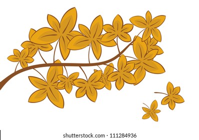 Illustration of one branch of autumn leafs.