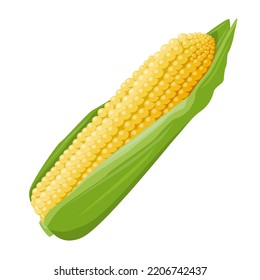 Illustration of one ear of yellow corn with green leaves. Design element and food and agriculture theme.