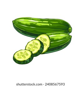 illustration of one green cucumber still intact and another one that has been cut