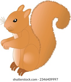 Illustration of one red squirrel on a white background. Forest animal squirrel