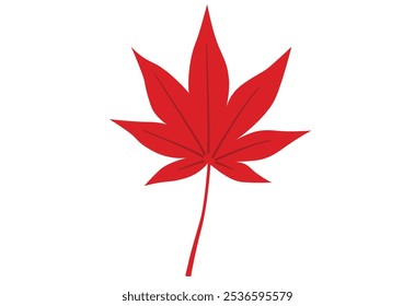 Illustration of one simple red autumn leaf