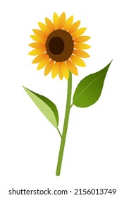 It is an illustration of one sunflower.Vector data that is easy to edit.