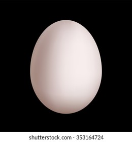 illustration of one white egg on black background