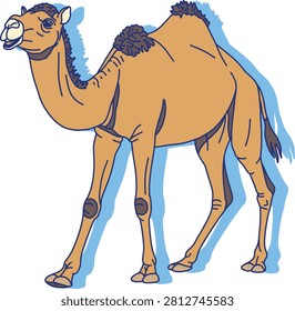 Illustration of a one-humped camel walking side view	