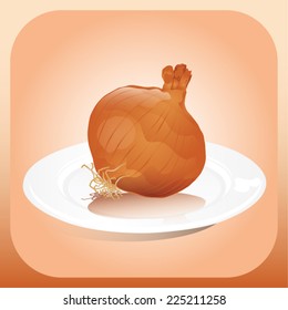 Illustration of an onion