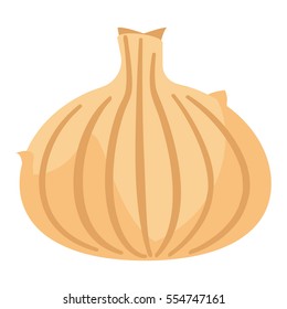 Illustration of onion