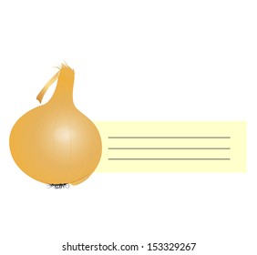 Illustration of  onion bulbs