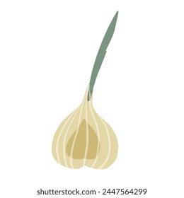 Illustration of a onion in collage style