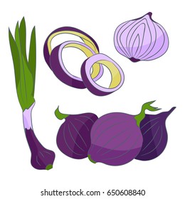Illustration with onion on light background