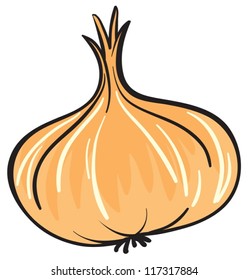 illustration of onion on a white background