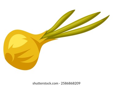 Illustration of onion. Stylized food object for cooking recipe and menu.