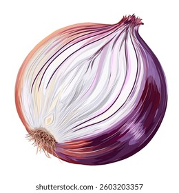 illustration of onion without background