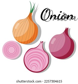 illustration of onions and onion, pile onion, slice onion, for teacher, student , college, banner, flyer, power point, and another comercial use