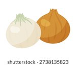 Illustration of onions and spring onions lined up