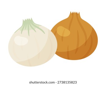 Illustration of onions and spring onions lined up