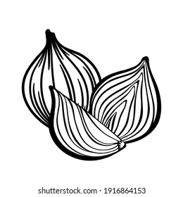 Illustration Of Onions. Whole And Cut In Half Onion. Vector Outline Drawing. 