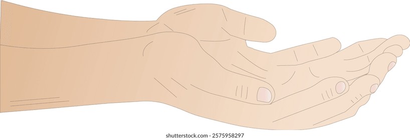 the illustration of the open hand creates a gesture to accept something.