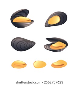 Illustration of open mussel and closed mussel, mussel meat in realistic 3D style.