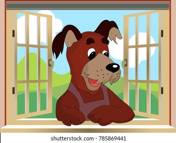 Illustration, in the open window looks Dog, cartoon, vector