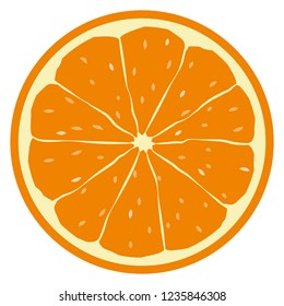 Illustration of the orange