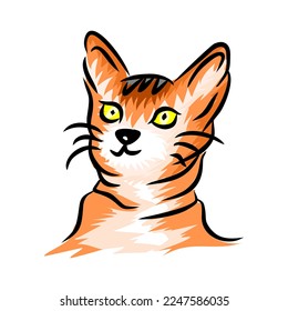 The illustration is an orange abstract cat. It's simple, stylized with movement and cheerfulness it has an open interpretation.