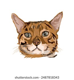 illustration of an orange cat's head without a background