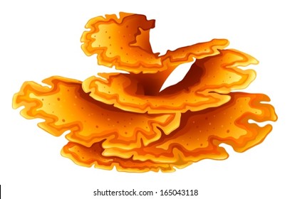 Illustration of an orange coral on a white background