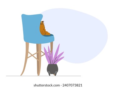 Illustration of orange fluffy cat sitting on blue chair with blue space behind as background for your text. Template for banner, home page for pet shop or veterinary clinic.