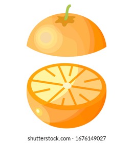 
illustration of orange fruit. flat orange fruit design. Fresh oranges that contain vitamin C.
