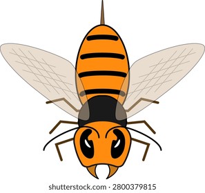 An illustration of an orange hornet