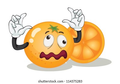 illustration of orange on a white background
