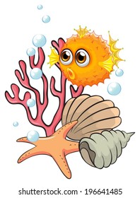 Illustration of an orange puffer fish near the seashells on a white background