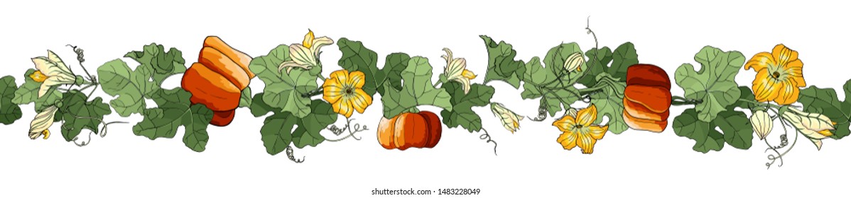 Illustration with orange ripe pumpkin, green leaves, bud, stems and flowers. Autumn vector multicolored seamless brush isolated on white background. Saturated color for your holiday design.