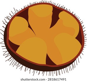 Illustration of orange sea urchin roe