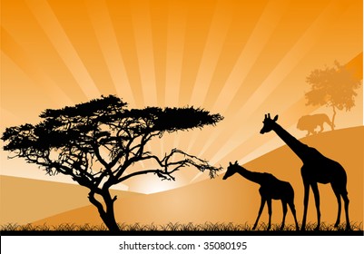illustration with orange sunset between trees