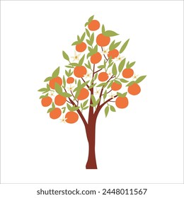 Illustration of an orange tree. An orange tree isolated in a cartoon style. 
